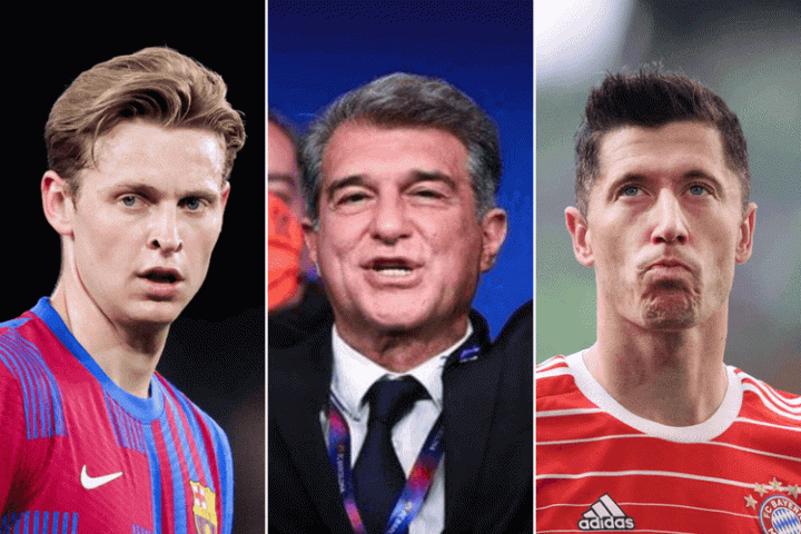 给人的皮肤 给人的皮肤