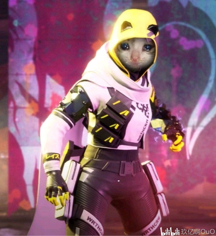 模板